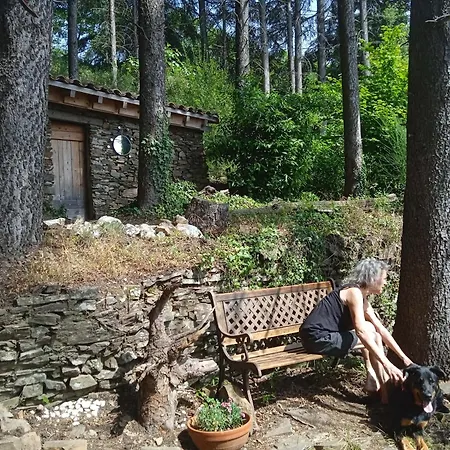 Entre Les Cedres Semesterbostad Le Vigan (Gard)