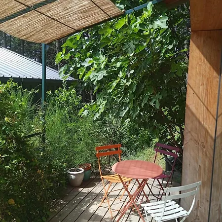 Entre Les Cedres